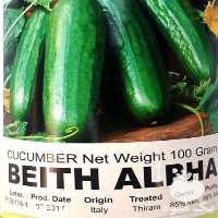 فروش بذر خیار بیت آلفا در یزد در گروه خرید فروش بذر - انواع محصول کشاورزی گوجه کتان میوه درخت در یکمیوه