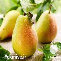 فروش نهال گلابی اسپادانا در کرج در گروه خرید فروش نهال - انواع گردو پسته بادام سلطانی انگور در یکمیوه