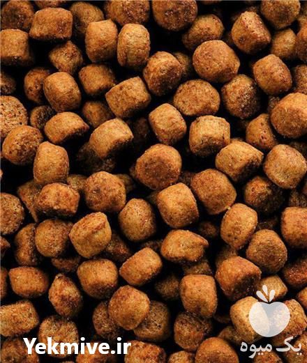 فروش خوراک اکسترود ماهی قزل آلا در تبریز در گروه خوراک شیلات و آبزیان - ماهی گیلان خوزستان چابهار بوشهر در یکمیوه -عکس1