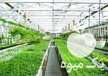 فروش تجهیزات و دستگاه های مورد نیاز گلخانه ها در تهران در گروه خرید فروش تجهیزات گلخانه - صنعتی خانگی هوشمند دست دوم در یکمیوه -عکس1