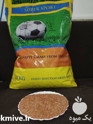 فروش بذرچمن سوپر اسپرت هلندی در تبریز در گروه خرید فروش بذر - انواع محصول کشاورزی گوجه کتان میوه درخت در یکمیوه -عکس1