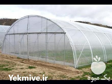 فروش سازه گلخانه تونلی پیچ و مهره ای در تهران در گروه سازنده - گلخانه باغ مدرن سالن صنعتی سوله انبار در یکمیوه -عکس1