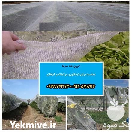 فروش توری ضد سرما در شیراز در گروه خرید فروش انواع پوشش ها و ورق ها - پلی استر پلی کربنات نایلون در یکمیوه -عکس1