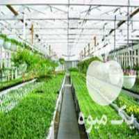 فروش تجهیزات و دستگاه های مورد نیاز گلخانه ها در تهران در گروه خرید فروش تجهیزات گلخانه - صنعتی خانگی هوشمند دست دوم در یکمیوه