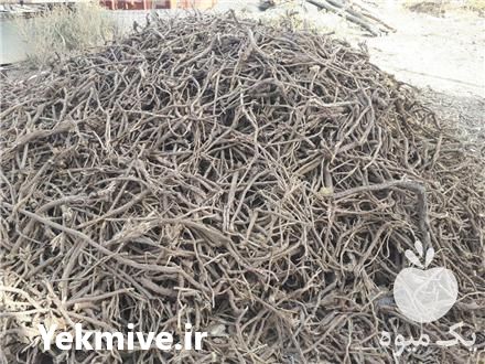 خرید عمده ریشه شیرین بیان پایار در بروجرد در گروه سایر محصولات غذایی در یکمیوه -عکس1