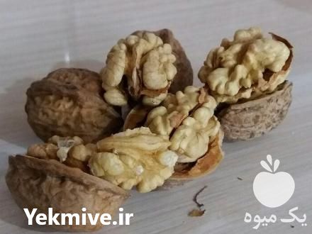 خرید و فروش گردو درجه 1 خراسان شمالی در بجنورد در گروه گردو - کاغذی سنگی سوزنی خوشه ای توسرکان در یکمیوه -عکس1