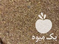 فروش گندم مهرگان در شوش در گروه خرید فروش عمده گندم و جو - بلغور شیرازی فروش عمده محصول کشاورزی در یکمیوه -عکس1