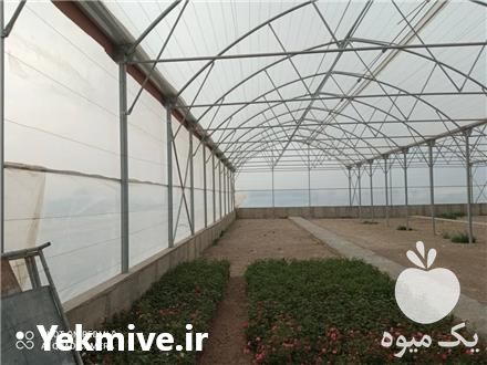 فروش طراحی و نصب انواع سازه گلخانه ای در قائم شهر در گروه سازنده - گلخانه باغ مدرن سالن صنعتی سوله انبار در یکمیوه -عکس1