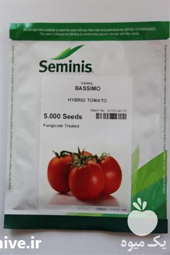 فروش بذر گوجه فرنگی باسیمو در کرمان  در گروه خرید فروش بذر - انواع محصول کشاورزی گوجه کتان میوه درخت در یکمیوه -عکس1
