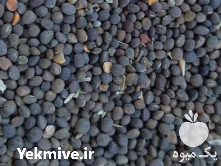 خرید و فروش قره ماش در زنجان در گروه خرید و فروش عمده انواع محصولات کشاورزی و دامداری در یکمیوه -عکس1