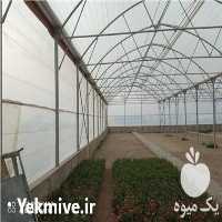 فروش طراحی و نصب انواع سازه گلخانه ای در قائم شهر در گروه سازنده - گلخانه باغ مدرن سالن صنعتی سوله انبار در یکمیوه
