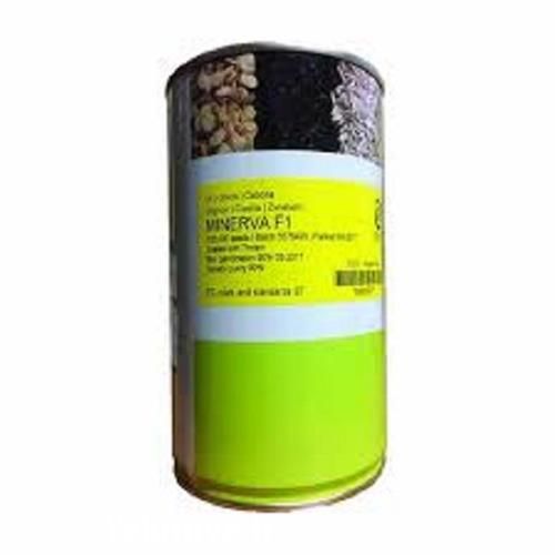 بذر پیاز منیروا پر فروش در تهران در گروه خرید فروش عمده پیاز - قرمز سفید زرد ترشی تازه انباری در یکمیوه -عکس1