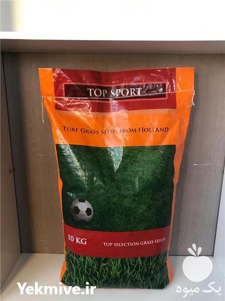 خرید بذر چمن تاپ اسپرت آلمانی در کرج در گروه خرید فروش بذر - انواع محصول کشاورزی گوجه کتان میوه درخت در یکمیوه -عکس1