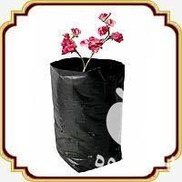 تولید و فروش انواع پلاستیک کاشت نهال در سمنان در گروه خرید فروش بسته بندی نایلونی - کیسه نایلکس مشما پلاستیک در یکمیوه -عکس1