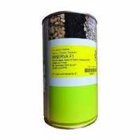 بذر پیاز منیروا پر فروش در تهران در گروه خرید فروش عمده پیاز - قرمز سفید زرد ترشی تازه انباری در یکمیوه