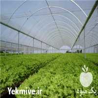 تولید و فروش نایلون پلاستیک گلخانه با یووی در تهران در گروه خرید فروش انواع پوشش ها و ورق ها - پلی استر پلی کربنات نایلون در یکمیوه