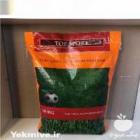 خرید بذر چمن تاپ اسپرت آلمانی در کرج در گروه خرید فروش بذر - انواع محصول کشاورزی گوجه کتان میوه درخت در یکمیوه