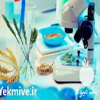 فروش ارائه تجهیزات آزمایشگاه آرد وغله وبذر در تهران در گروه خرید فروش سایر محصولات تجهیزات کشاورزی در یکمیوه