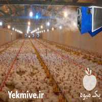 فروش رطوبت ساز مرغداری در تبریز در گروه تجهیزات دام و طیور - خرید فروش نو دسته دوم در یکمیوه
