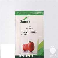 فروش بذر گوجه فرنگی بریویو در یزد در گروه خرید فروش بذر - انواع محصول کشاورزی گوجه کتان میوه درخت در یکمیوه