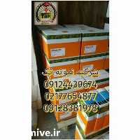 فروش بذر چغندر در تهران در گروه خرید فروش بذر - انواع محصول کشاورزی گوجه کتان میوه درخت در یکمیوه