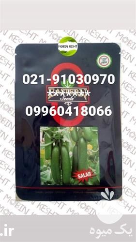 فروش بذر خیار گلخانه ای آدرین سالار در یزد در گروه خرید فروش بذر - انواع محصول کشاورزی گوجه کتان میوه درخت در یکمیوه -عکس1