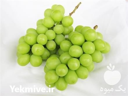 فروش نهال انگور موسکات در تهران در گروه خرید فروش نهال - انواع گردو پسته بادام سلطانی انگور در یکمیوه -عکس1