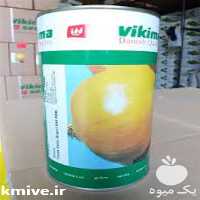 فروش بذر پیاز روز کوتاه طلایی ویکیما در بوشهر در گروه خرید فروش بذر - انواع محصول کشاورزی گوجه کتان میوه درخت در یکمیوه