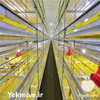 فروش قفس مرغ گوشتی در مشهد در گروه تجهیزات دام و طیور - خرید فروش نو دسته دوم در یکمیوه