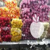 فروش عمده گل رز هلندی در تهران در گروه خرید فروش عمده گیاهان زینتی - گرمسیری آپارتمانی باغچه آب در یکمیوه