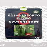 فروش بذر خیار گلخانه ای آدرین سالار در یزد در گروه خرید فروش بذر - انواع محصول کشاورزی گوجه کتان میوه درخت در یکمیوه