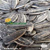 فروش پخش عمده تخمه امیر در خوی در گروه خرید فروش عمده آفتابگردان - تخمه خوی دیم گل در یکمیوه