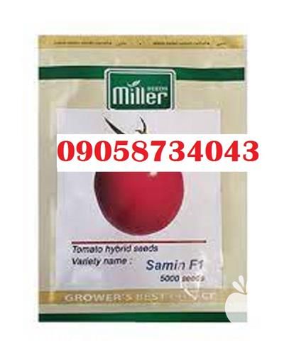 خرید بذر در بوشهر در گروه خرید فروش بذر - انواع محصول کشاورزی گوجه کتان میوه درخت در یکمیوه -عکس1