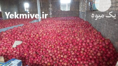 انار پوست نازک دون سیاه در ساوه در گروه خرید فروش عمده انار - ساوه شیراز شیرین ترش در یکمیوه -عکس1