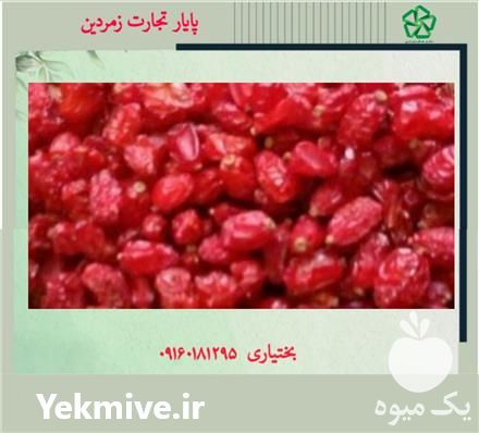 فروش عمده زرشک دانه اناری در بروجرد در گروه خرید فروش عمده ازگیل و تمشک و زرشک - ژاپنی فروش مستقیم در یکمیوه -عکس1