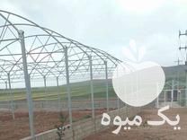 فروش نصب گلخانه و اجرا در اصفهان در گروه سازنده - گلخانه باغ مدرن سالن صنعتی سوله انبار در یکمیوه -عکس1