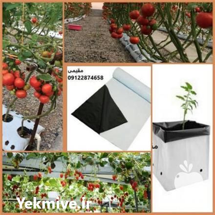 فروش کیسه کشت هیدروپونیک در تهران در گروه خرید فروش بسته بندی نایلونی - کیسه نایلکس مشما پلاستیک در یکمیوه -عکس1