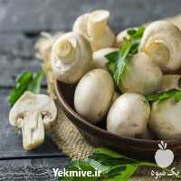 فروش دوره عملی پرورش قارچ دکمه ای در البرز در گروه مشاوره - راه اندازی بازاریابی کسب درآمد بهبود کسب و کار در یکمیوه