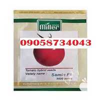 خرید بذر در بوشهر در گروه خرید فروش بذر - انواع محصول کشاورزی گوجه کتان میوه درخت در یکمیوه