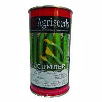 فروش بذر خیار سوپراستار یو اس اگریسیدز در اصفهان در گروه خرید فروش بذر - انواع محصول کشاورزی گوجه کتان میوه درخت در یکمیوه