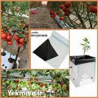 فروش کیسه کشت هیدروپونیک در تهران در گروه خرید فروش بسته بندی نایلونی - کیسه نایلکس مشما پلاستیک در یکمیوه