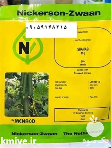 فروش بذر خیار شهاب اصل در اصفهان در گروه خرید فروش بذر - انواع محصول کشاورزی گوجه کتان میوه درخت در یکمیوه -عکس1