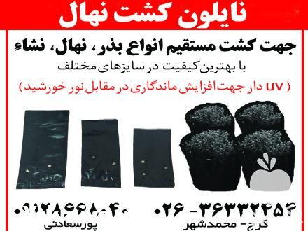 فروش نایلون نهال در کرج در گروه خرید فروش نهال - انواع گردو پسته بادام سلطانی انگور در یکمیوه -عکس1