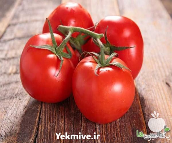 فروش قیمت بذر گوجه فرنگی تایفون در گلستان در گروه خرید فروش بذر - انواع محصول کشاورزی گوجه کتان میوه درخت در یکمیوه -عکس1