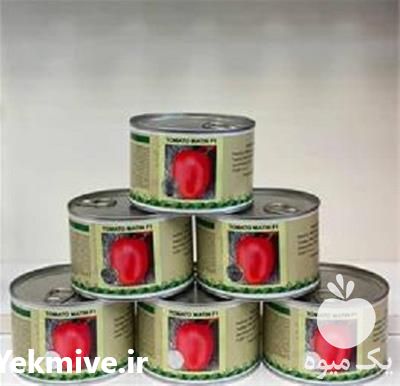 فروش عمده و خرده بذر گوجه گلسار در همدان در گروه خرید فروش بذر - انواع محصول کشاورزی گوجه کتان میوه درخت در یکمیوه -عکس1