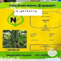 فروش بذر خیار شهاب اصل در اصفهان در گروه خرید فروش بذر - انواع محصول کشاورزی گوجه کتان میوه درخت در یکمیوه