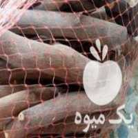 فروش چوب مرکبات زغال در دزفول در گروه خرید فروش عمده چوب- زغال چوب گردو تبریزی خام در یکمیوه