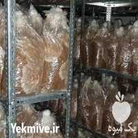 فروش کمپوست قارچ گانودرما در مشهد در گروه خرید فروش عمده قارچ - دکمه ای خوراکی دارویی پرورشی کوهی در یکمیوه