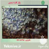 خرید و فروش عمده گیاه دارویی در بروجرد در گروه خرید فروش عمده گیاهان دارویی - معطر خشک خواص دار در یکمیوه