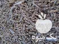 فروش عمده ماهی خشک در بومهن در گروه خوراک شیلات و آبزیان - ماهی گیلان خوزستان چابهار بوشهر در یکمیوه -عکس1